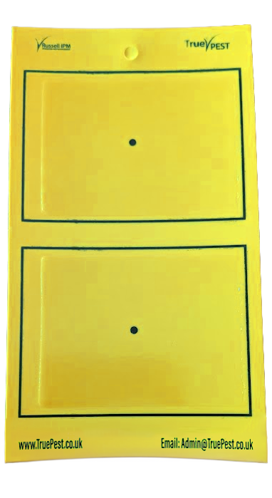 TruePest Board Yellow 10cm x 25cm